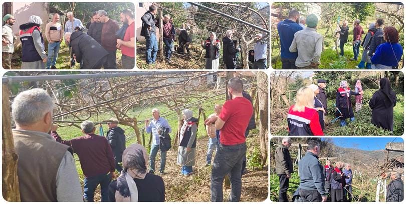Meyve Ağaçlarında Doğru Budama Zamanı: Rize Tarım Müdürlüğü’nden Kritik Uyarılar
